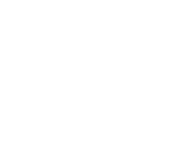 VW